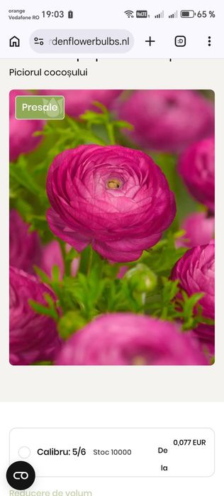 Ranunculus bulbi