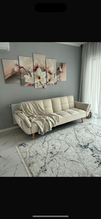 Vand canapea extensibila achizitionata din Mobexpert in stare buna spalata doar profesional !!