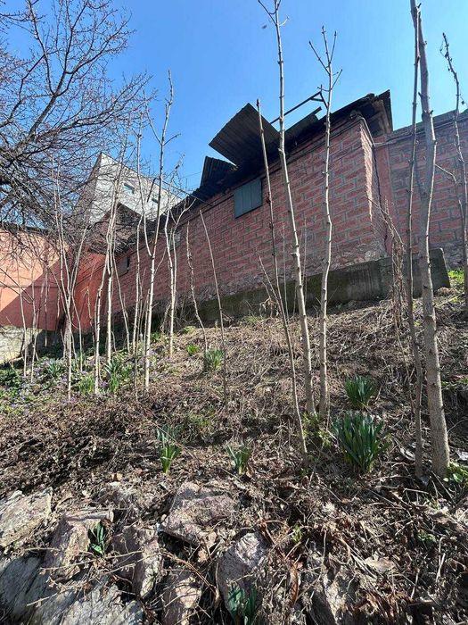 Каштаны-долгожители и редкие растения из волшебного сада