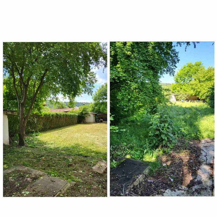 Косене и Почистване на дворове и стари къщи.рязана на опасни дървета