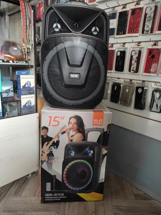Karaoke HiFi Speaker NDR 15 Bluetooth Kalonka