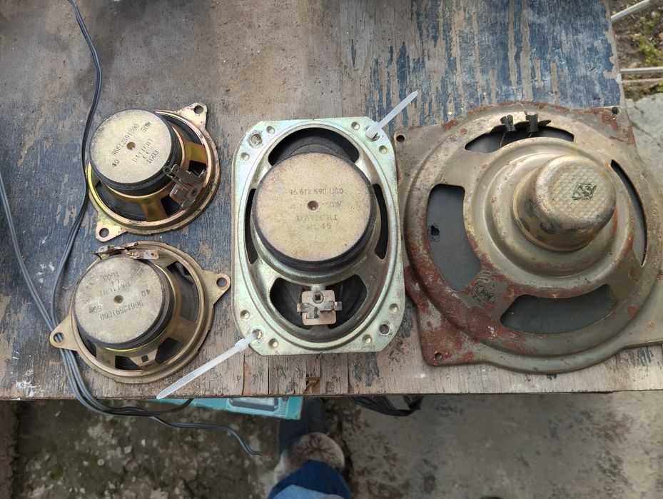 Kalonka kalonka kalonak