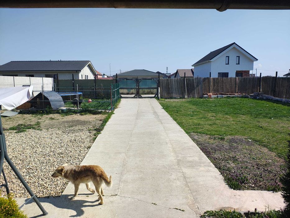 Proprietar ! vând teren zona Bujac