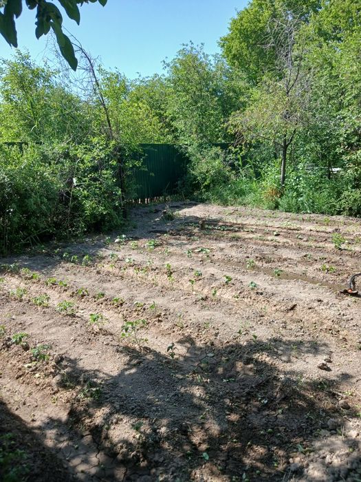 Продажа жилой дачи