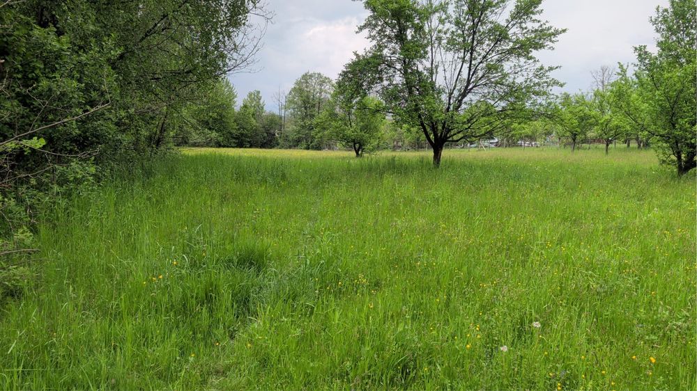 Doua Terenuri de vanzare Campulung Muscel si Bughea de Sus 3600/3300 mp pretabile casa/ investitie