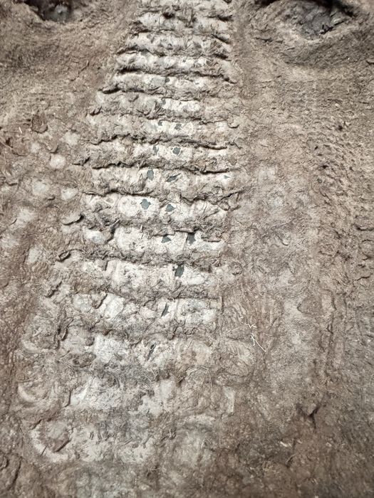 Кожа крокодила настоящая