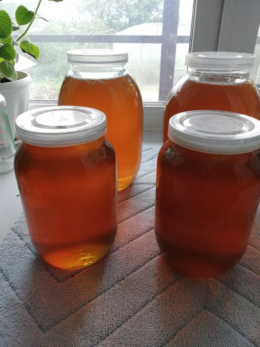 Продам мёд разнотравье