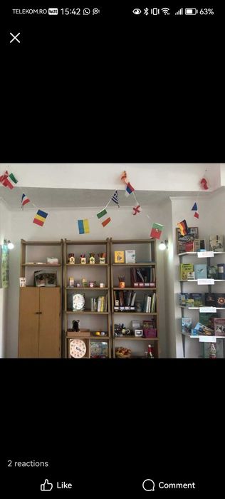 Tutori colaboratori meditatii Satu Mare, micro 17