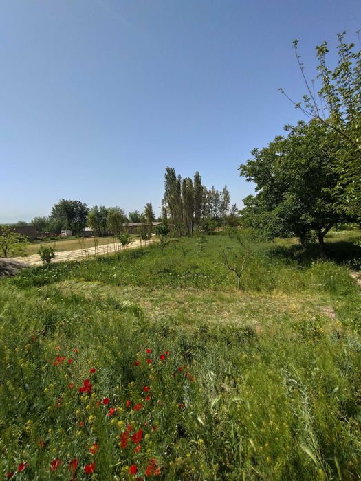 Yer sotiladi 12 sotx Mingchinor,Mingchinormfy Ziynat 3-tor koʻchasi 12