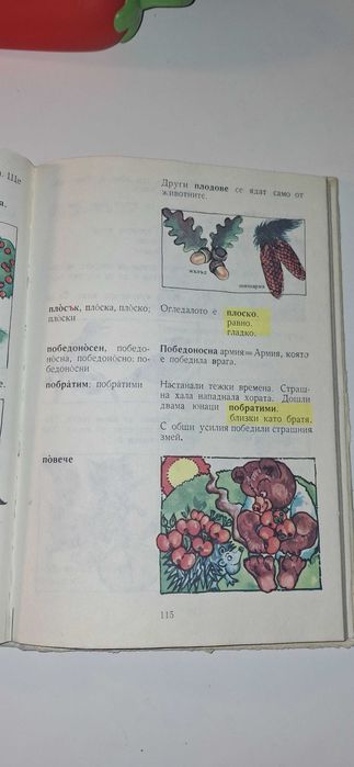 Старинен картинен речник за първокласници твърци корици