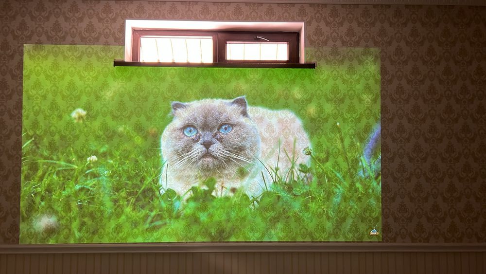Профессиональный проектор Panasonic PT-DZ  7000 lm