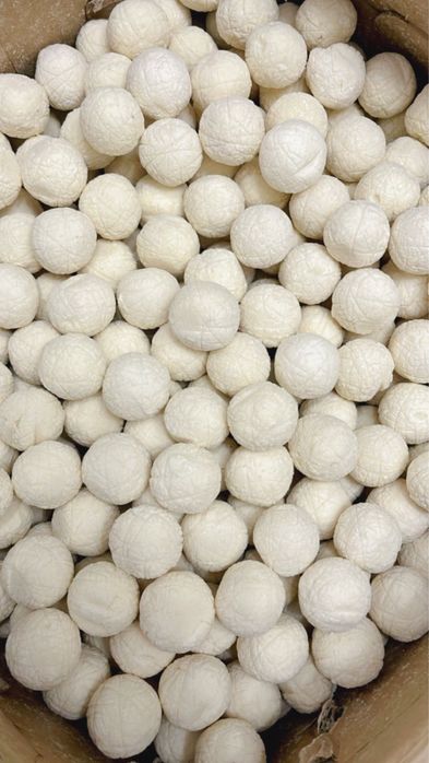 Курт Продаем город Астана