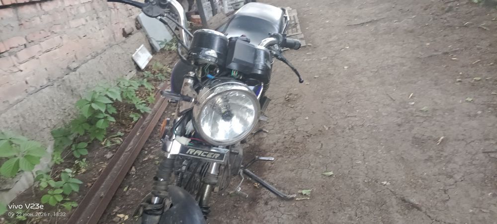 Alpha raser gs 125