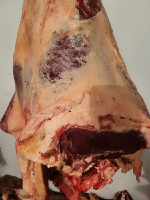 Говядина частями