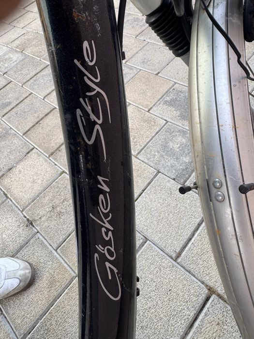 Bicicleta de dama