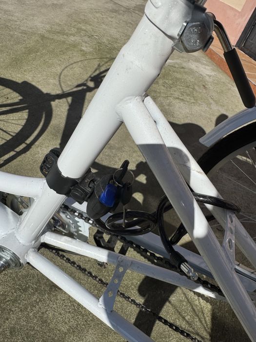 Tricicletă pentru adulți cu coș mare – noua