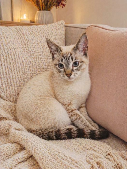 Красавица малышка