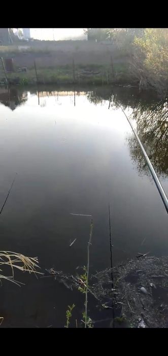 Участок, времянке, гараж, бокс, дача