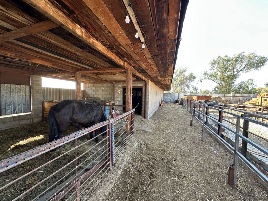 Фермерское хозяйство