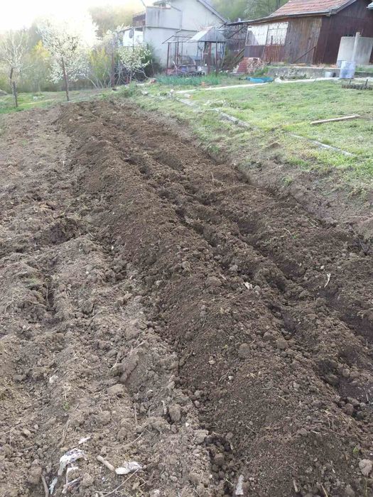 Фрезоване с мотофреза, косене на трева, рязане на клони, превоз