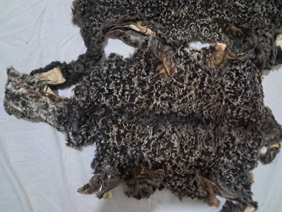 Qorako'l teri, каракуль шкурки, қоракўл тери сотилади