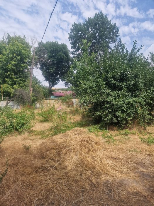 Участок с домом Ташкентская область