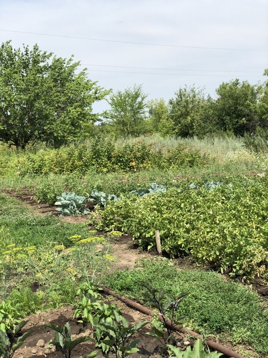 Дача за Новеньким