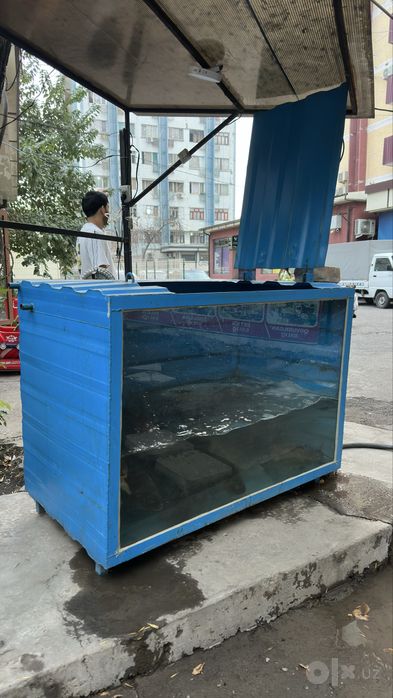 Baliq uchun akvarum sotiladi