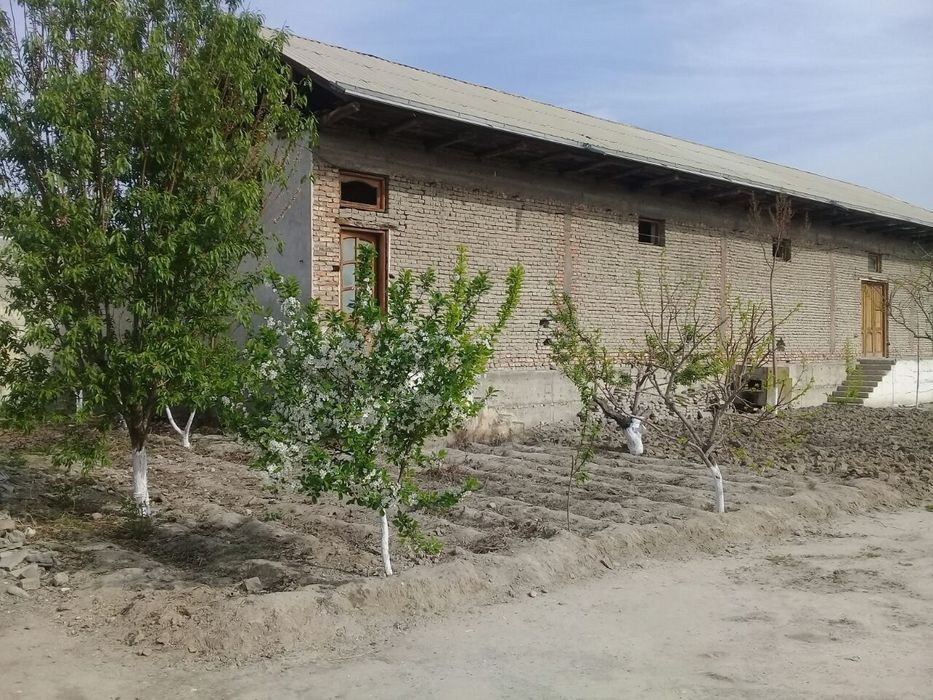 sotiladi tezroq oledigoonlar tel qilsin