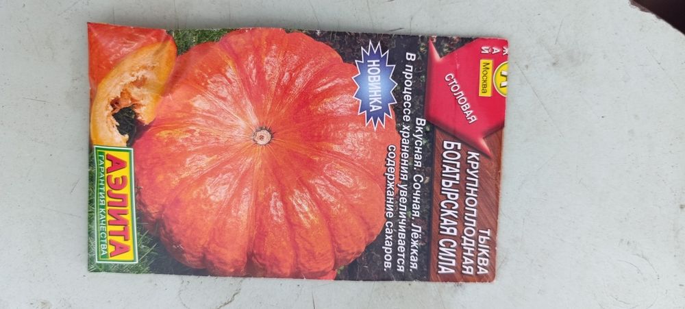Продам , тыква 10 кг