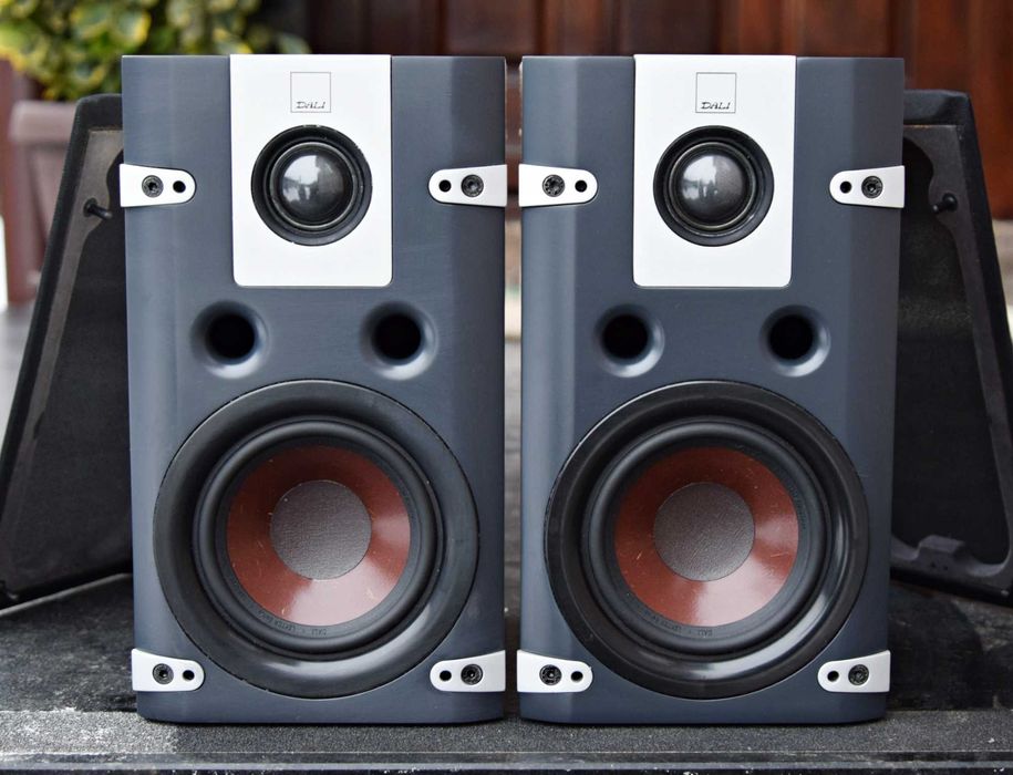 Boxe Dali Lektor 1, boxe de raft