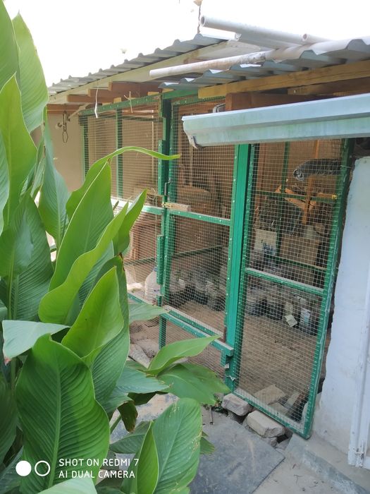 продается клетка большой сёмная разборная