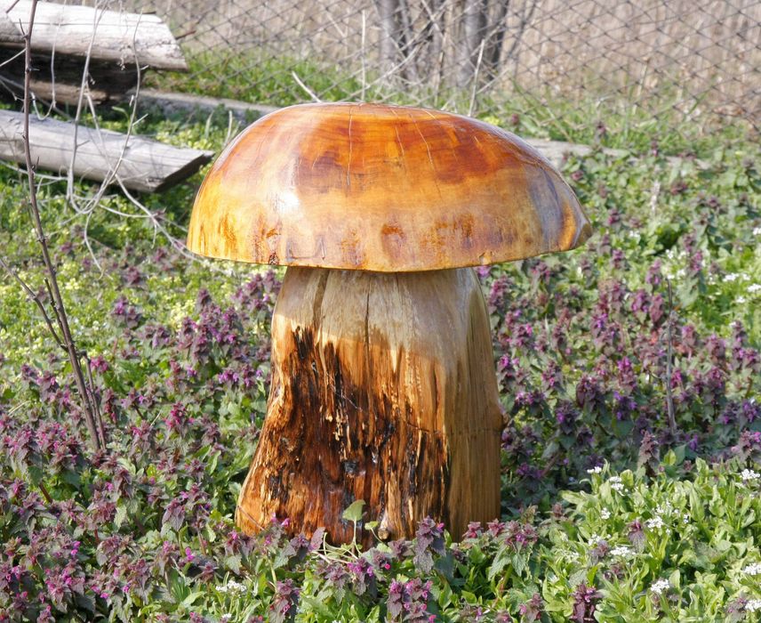 Гъби от дърво , ръчна изработка , дървени гъбки - декорация за дома