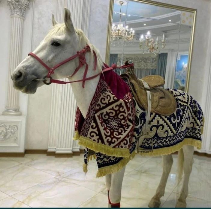 Сундет той сүндет той ат шымкент
