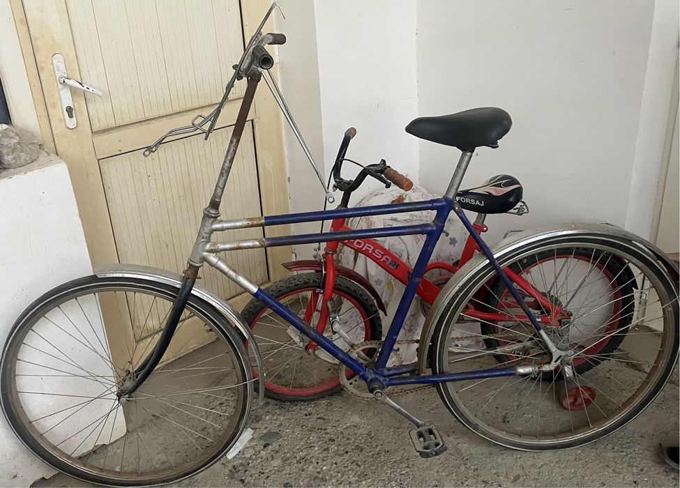 Ural velosaped kattalar uchun