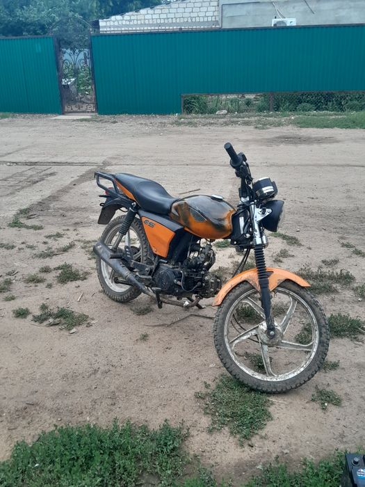 Продам расер альфу