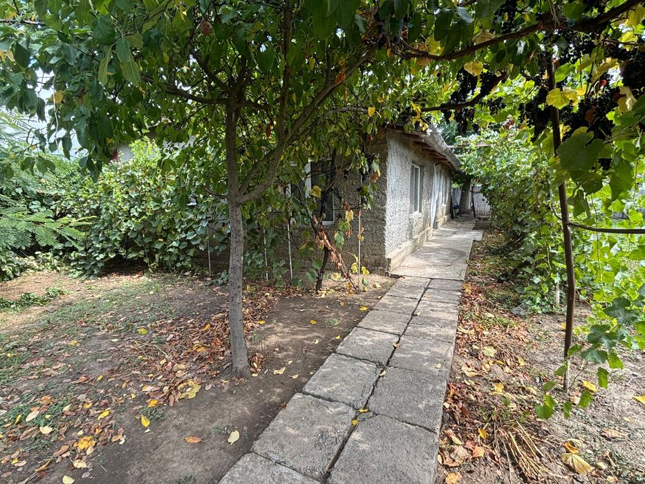Vand Casa Silistraru