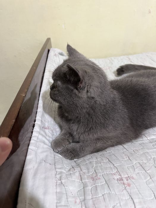 1,5 yosh 2 martta tug’gan