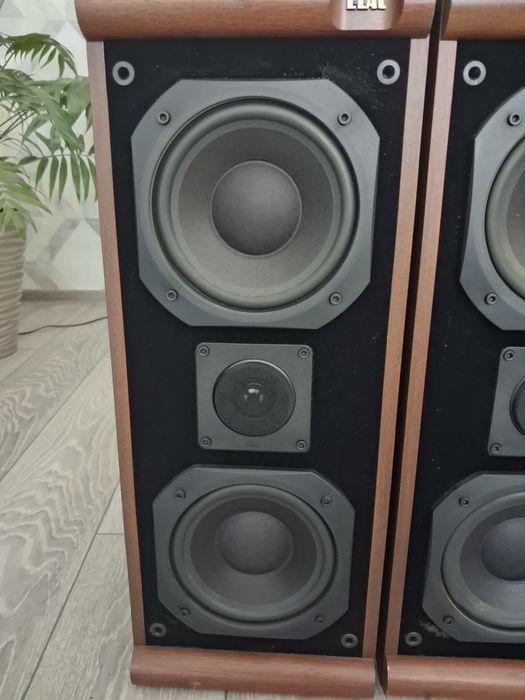 Boxe pasive Elac EL 80 II și Magnat monitor 990