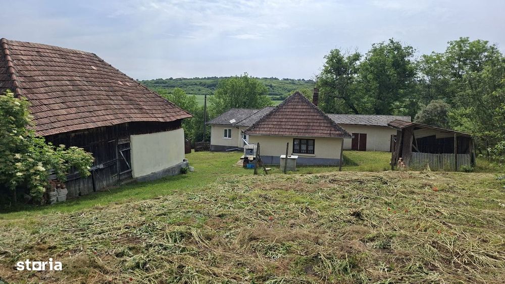 Casa de vacanță cu 4 camere, 6000mp teren
