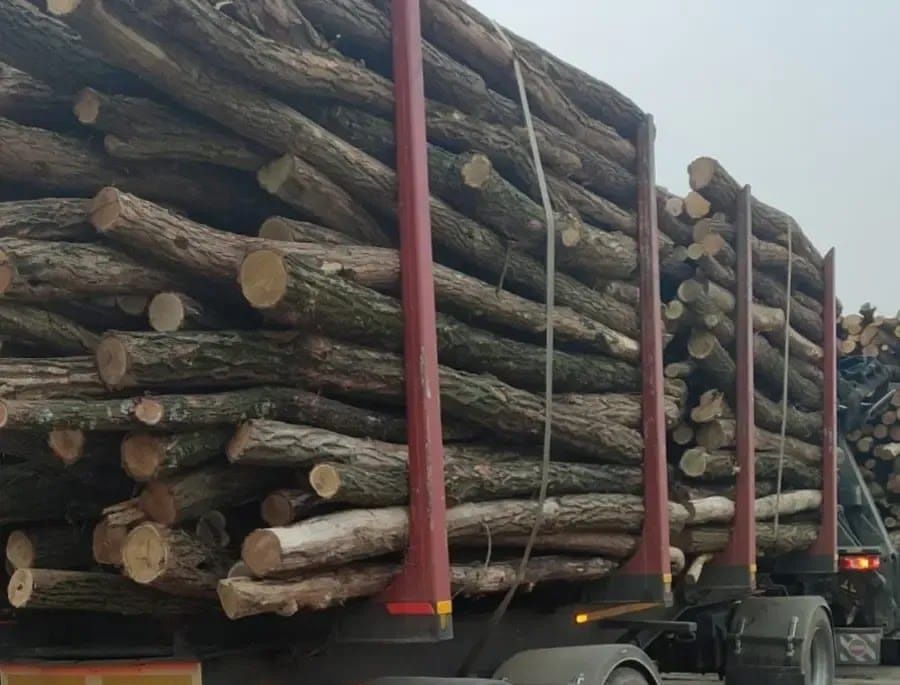 Lemn pentru foc(Carpen,Fag,Salcam)