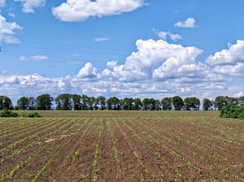 Продава се Парцел в Добрич, Автогара - 2869 кв.м за 7 €/кв.м - Снимка #2