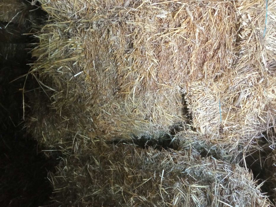 Vând baloți de paie