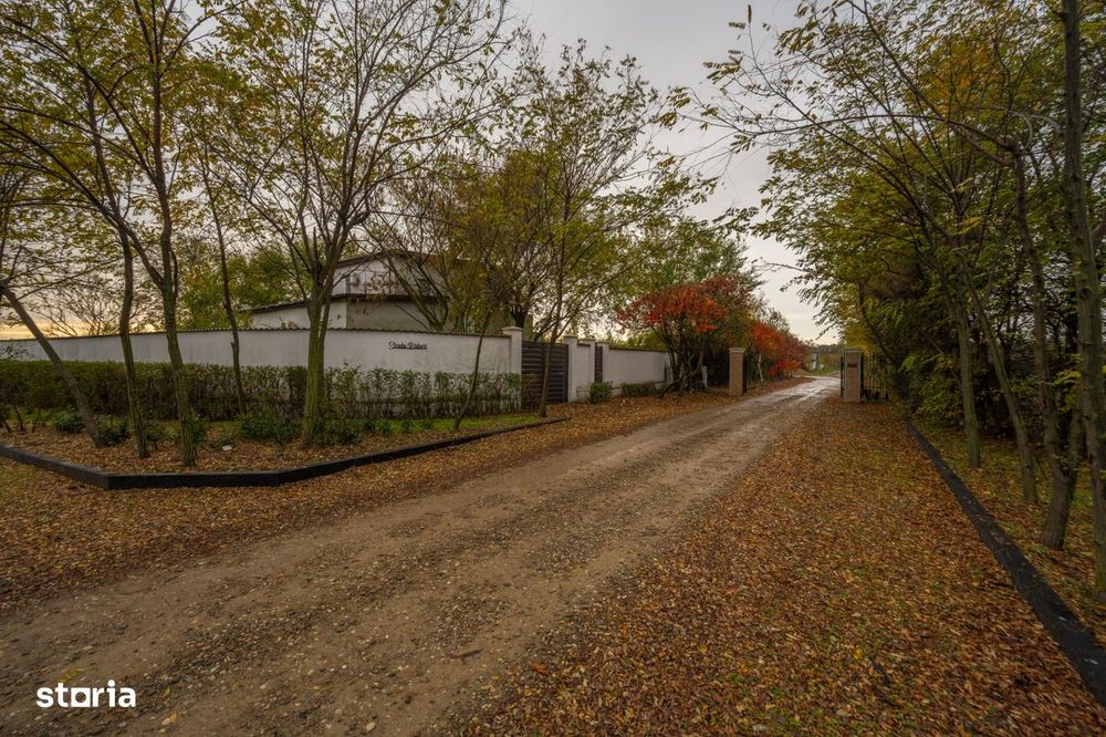 Teren intravilan de vanzare | Cartier rezidential deosebit | Afumati