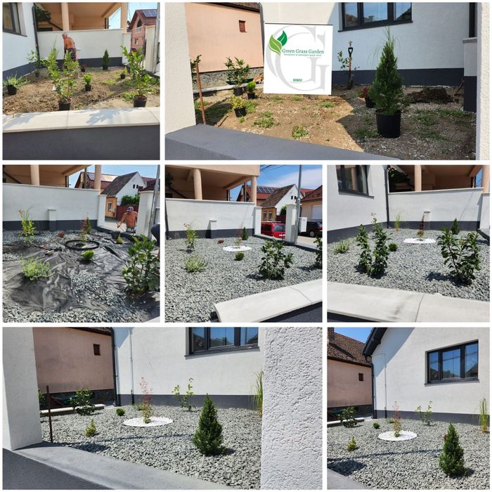 Gazon rulou/Amenajari și întrețineri gradini(Green Grass