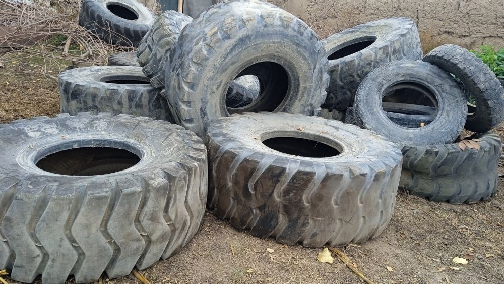 Пагурчикни балони  бор от ва бук,аларга охир сифатида хам болади