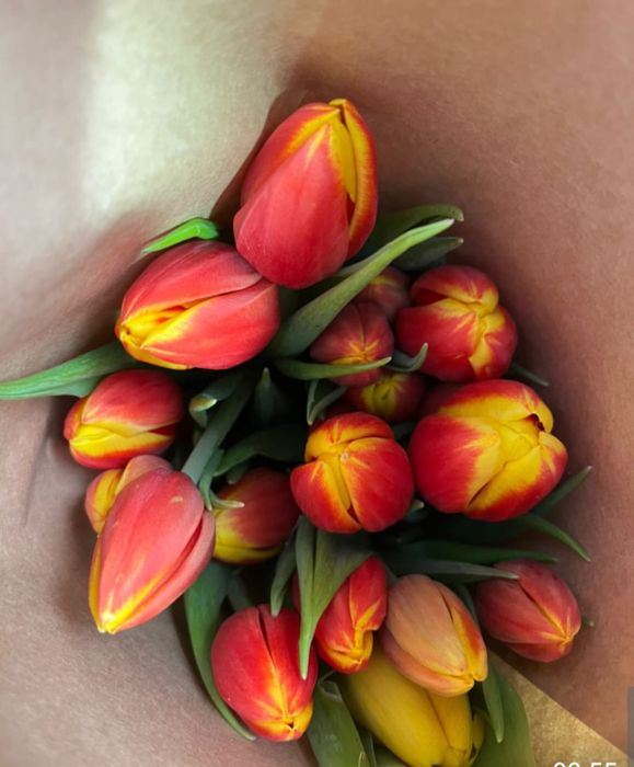 Тюльпаны опт В НАЛИЧИИ 430 ТГ.