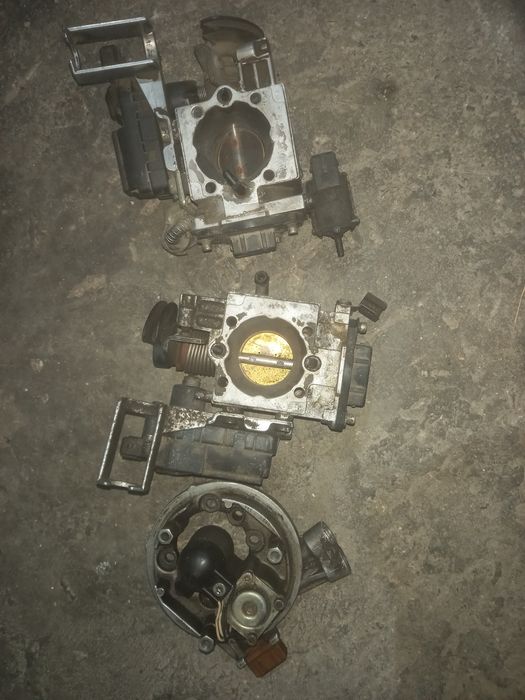 Продам моновпрсык