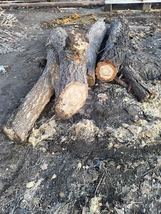 Продам дрова  САМОВЫВОЗ