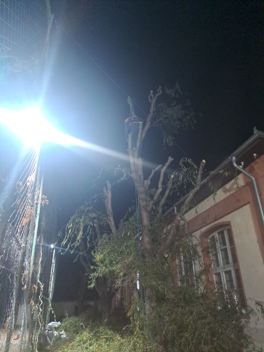 Tăiere Arbori/Gard Viu/Alpinism Utilitar/Rapid.